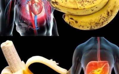 Did you know that eating bananas increases… See more onJuly 13, 2026