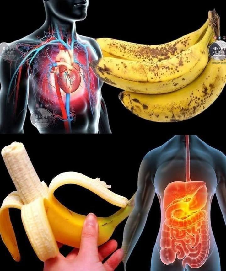 Did you know that eating bananas increases… See more onJuly 13, 2026