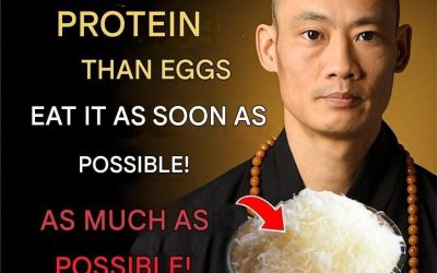 10 Foods With More Protein Than Eggs