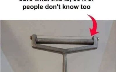 I don’t know what this is!