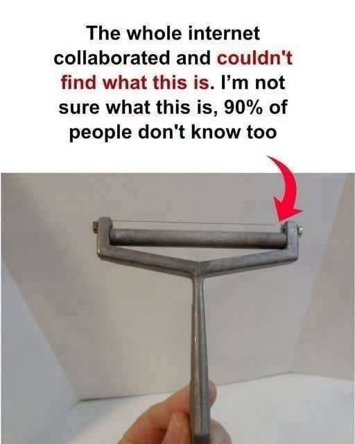 I don’t know what this is!