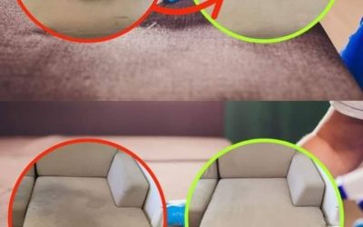 To remove stains from your sofa at home, use this powerful natural stain remover.